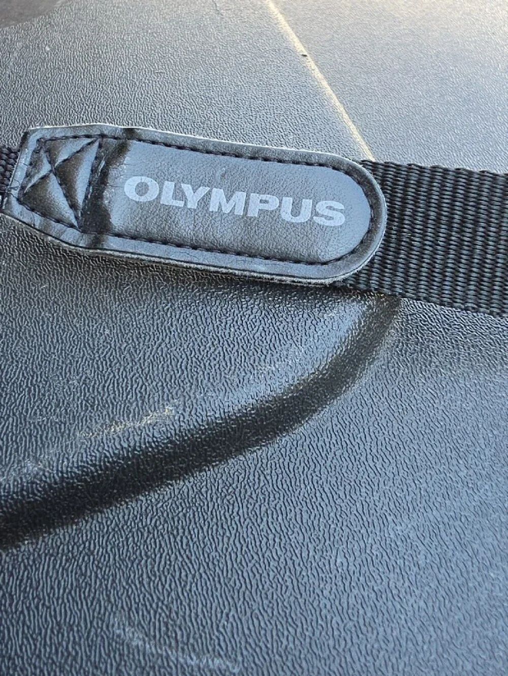 Olympus Silver Point-and-Shoot Digital Camera with Batteries and 256MB Card, 5.0